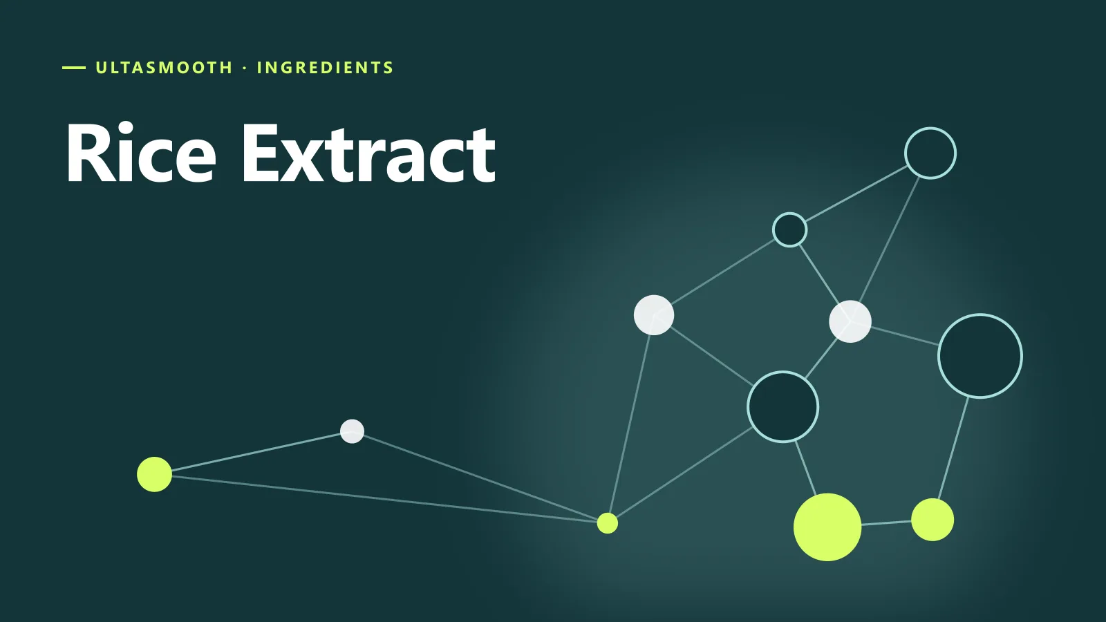 ภาพกราฟิกประกอบบทความ Rice Extract คืออะไร